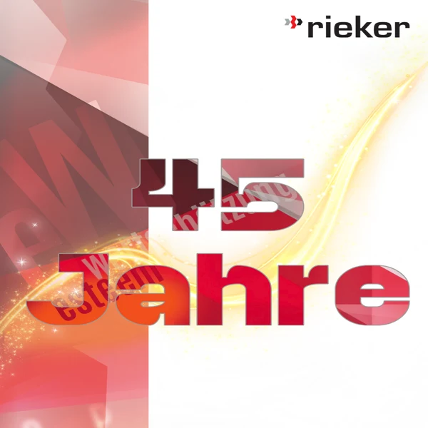 45 Jahre Rieker Planungsgesellschaft – Eine Vision, die bleibt